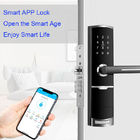 Zinc Alloy Password Bluetooth TTlock Smart Keypad Door Lock với Card Key