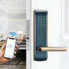 FCC Black Electronic Smart Door Lock 3kg Password Home Căn hộ