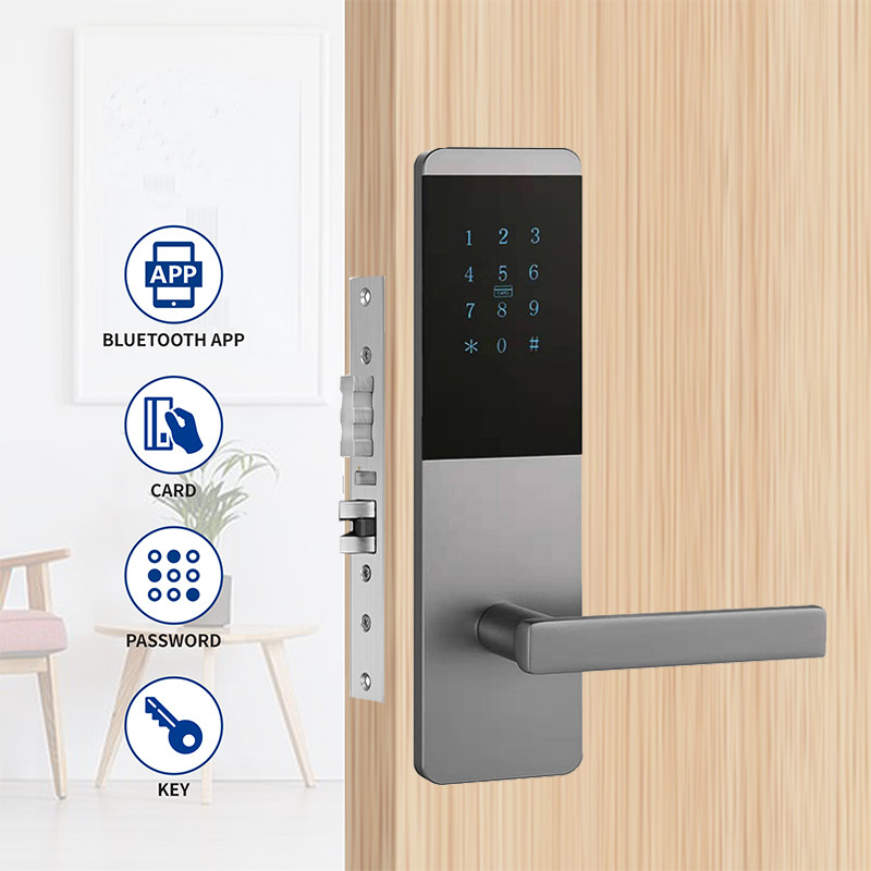 4 trong 1 Phép kim loại nhôm căn hộ Smart TTlock Khóa cửa khóa với bàn phím cảm ứng