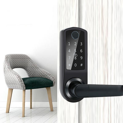 TTlock Smart Keypad Lock Door Lock 180mm Wifi Keyless Door Lock